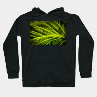 Abstract divergence Hoodie